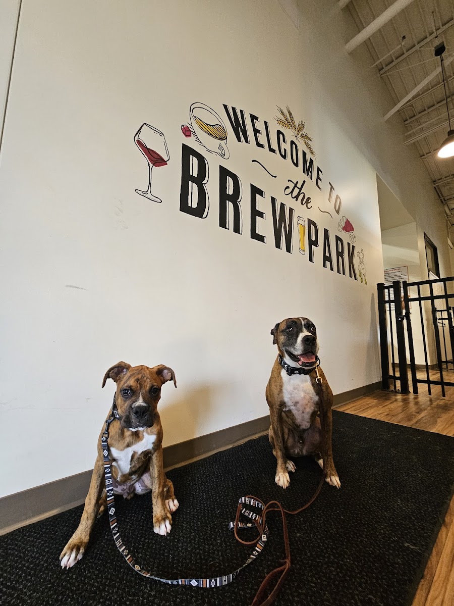 Brew Park Plymouth logo