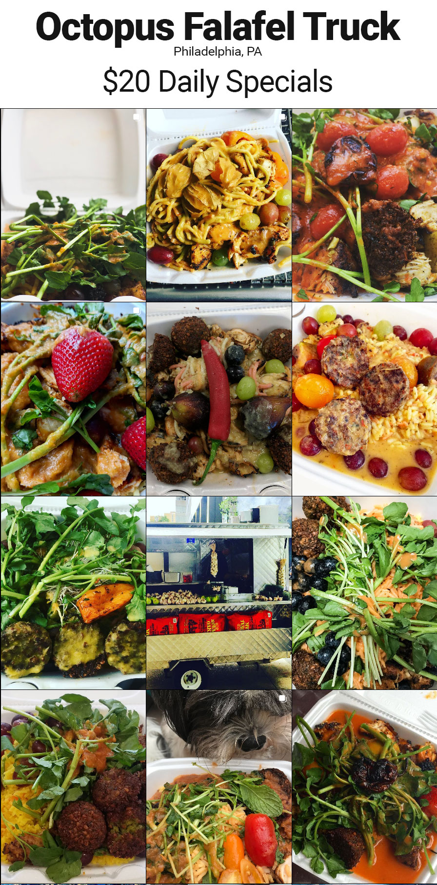 Octopus Falafel Truck Menu Changes Daily - Falafel Menu in Philadelphia, PA