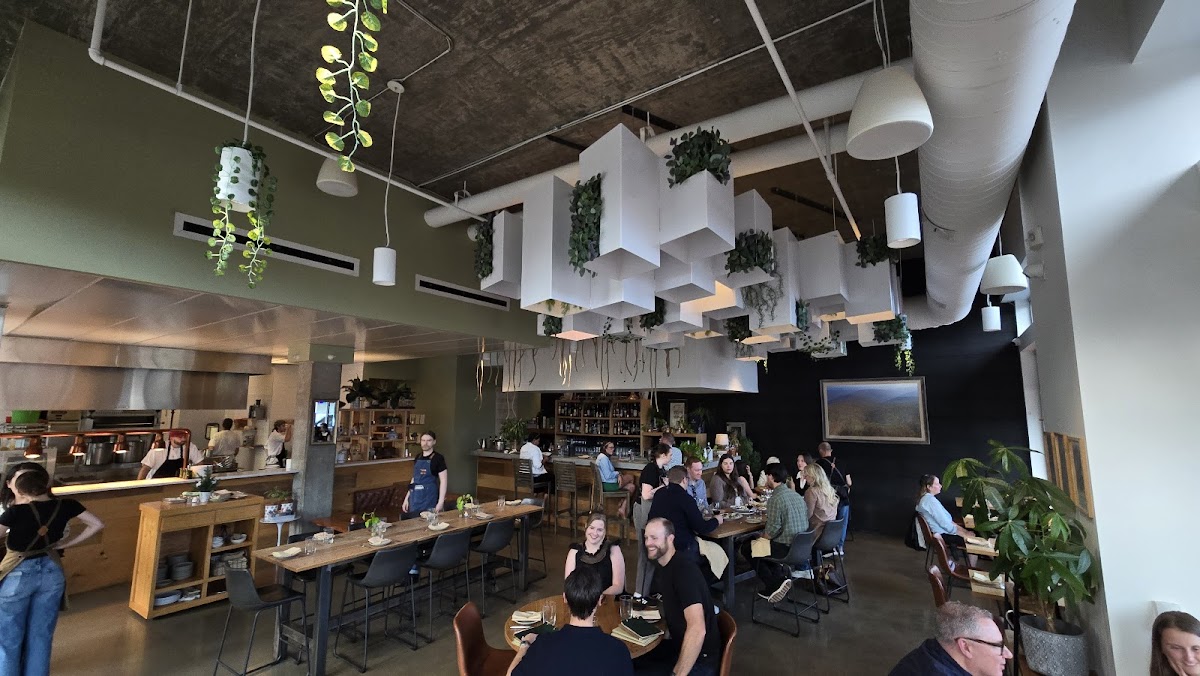 Bar Cleeta Interior Photo - Bar Cleeta Bars in Bentonville, AR