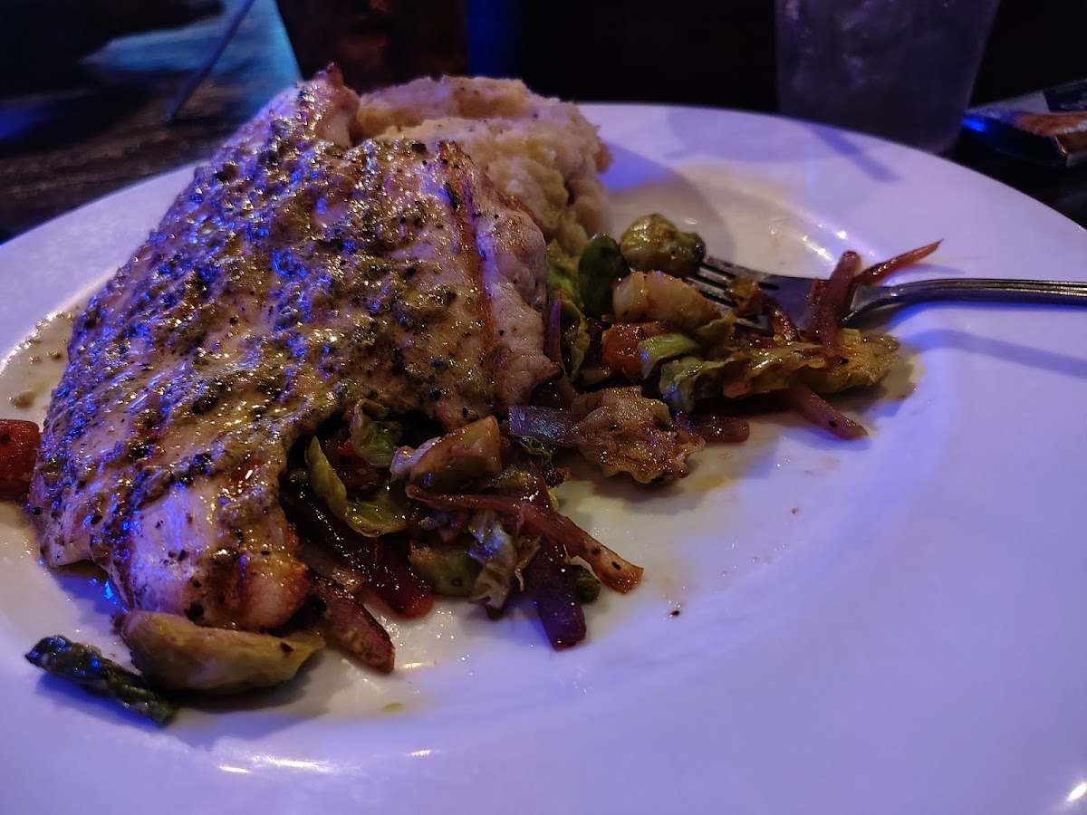 Black Sheep Bistro Food Photo - Black Sheep Bistro Bistro in Corpus Christi, TX