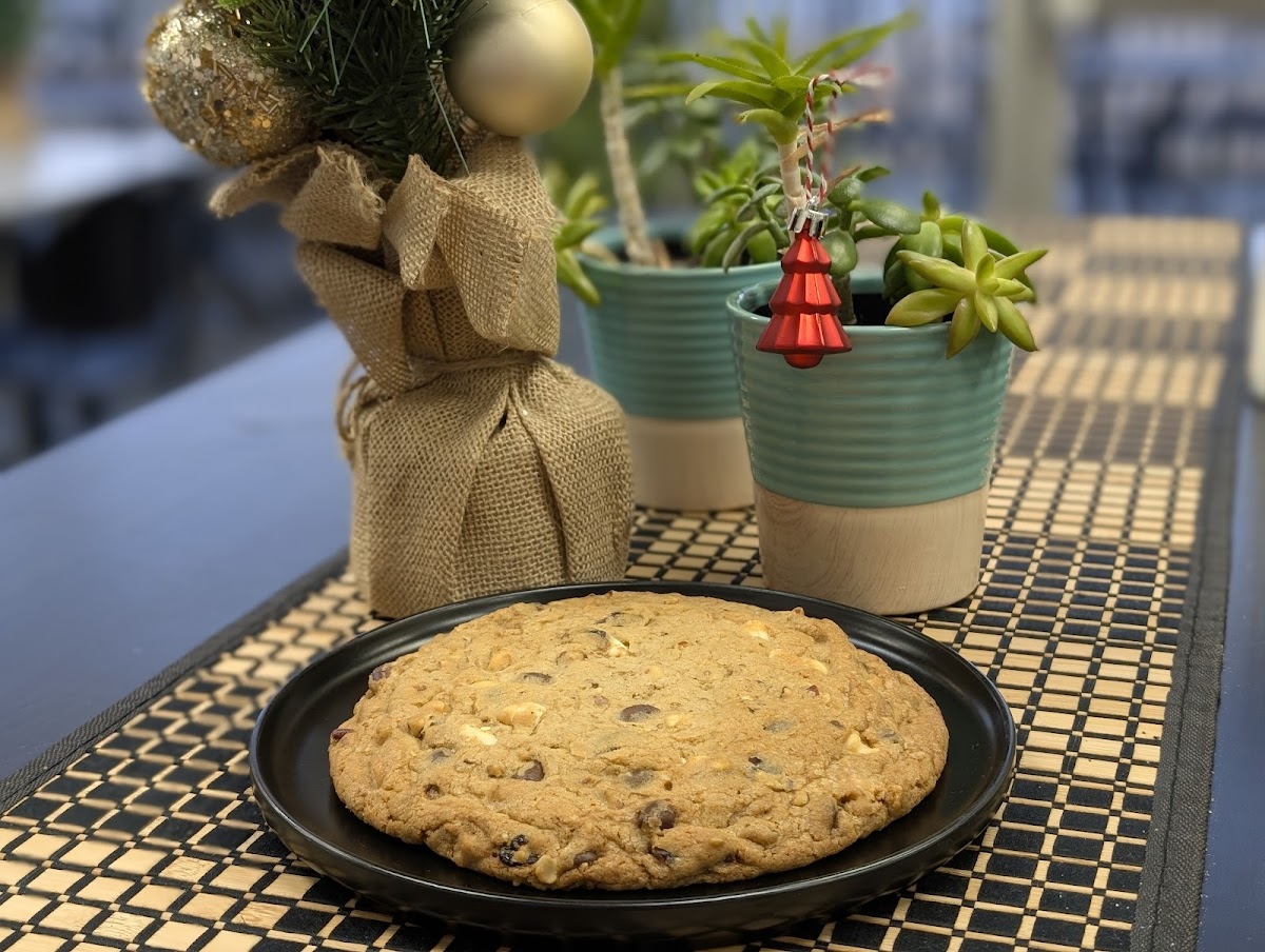 Cockpit Cafe + Catering Co. Food Photo - Cockpit Cafe + Catering Co. Cafe in Rogers, AR