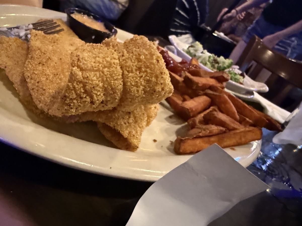 JJ's Grill Food Photo - JJ's Grill Bars in Fayetteville, AR