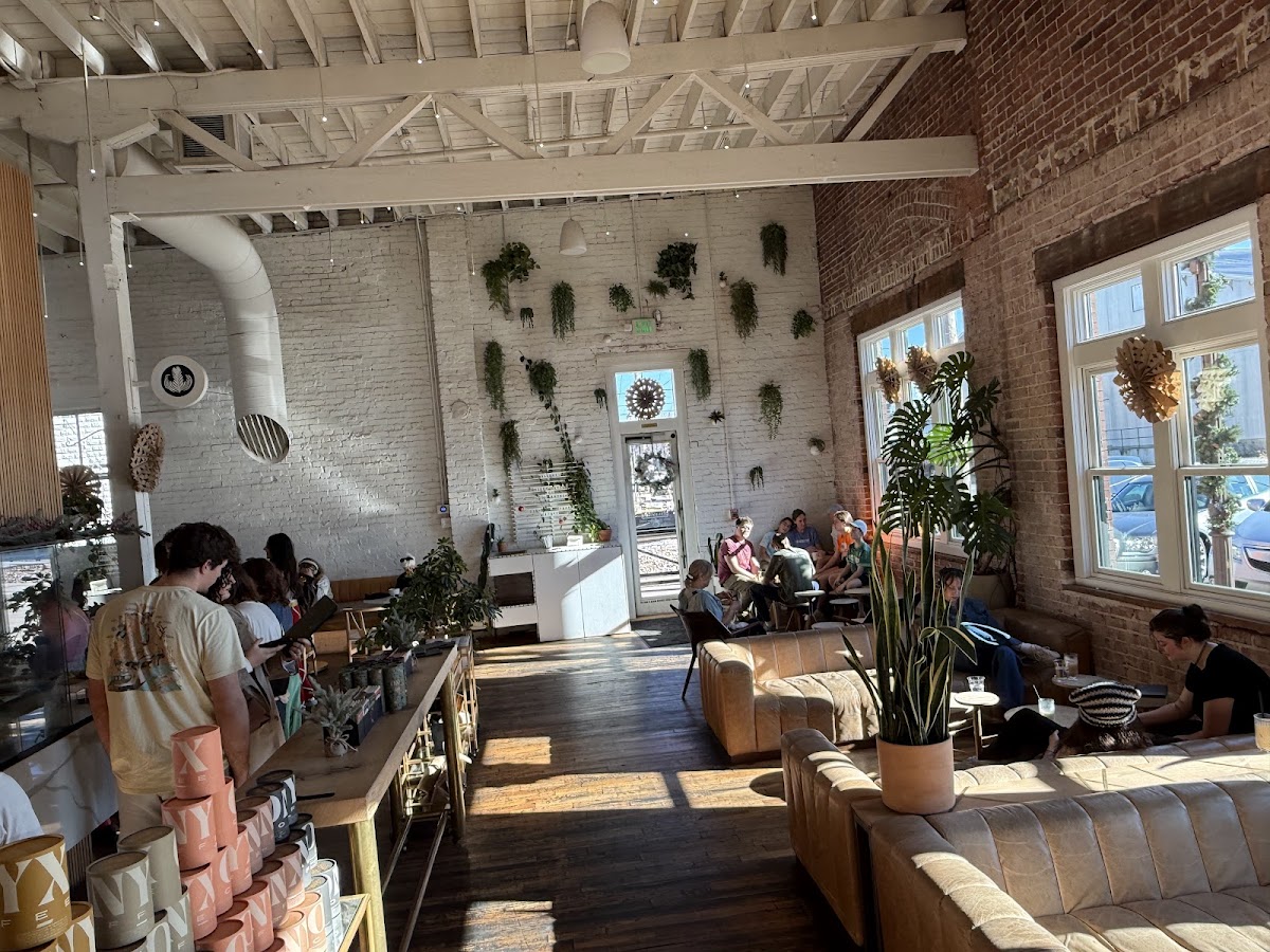 Onyx Coffee Lab - Rogers HQ Interior Photo - Onyx Coffee Lab - Rogers HQ Cafe in Rogers, AR