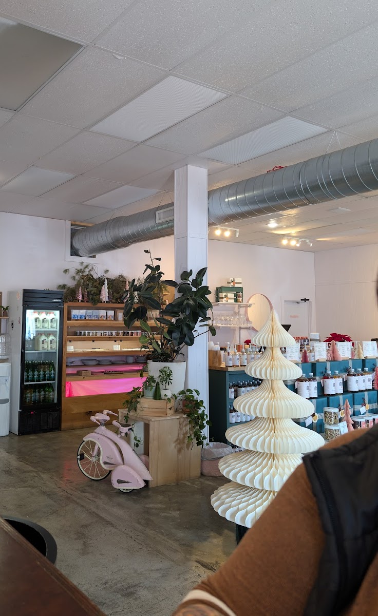 Pink House Alchemy Interior Photo - Pink House Alchemy Cafe in Fayetteville, AR